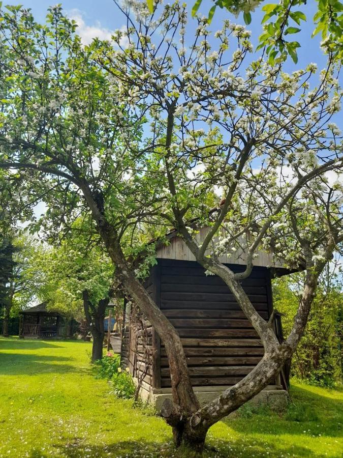 Agroturystyka Stokrotka Rymanow-Zdroj Exterior foto