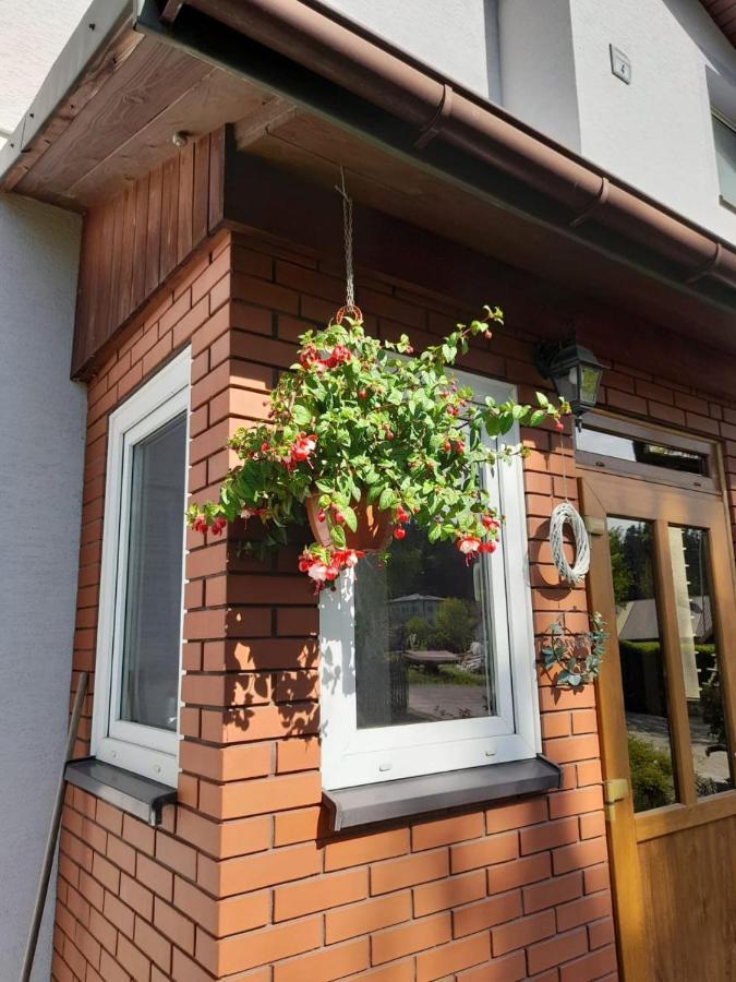 Agroturystyka Stokrotka Rymanow-Zdroj Exterior foto