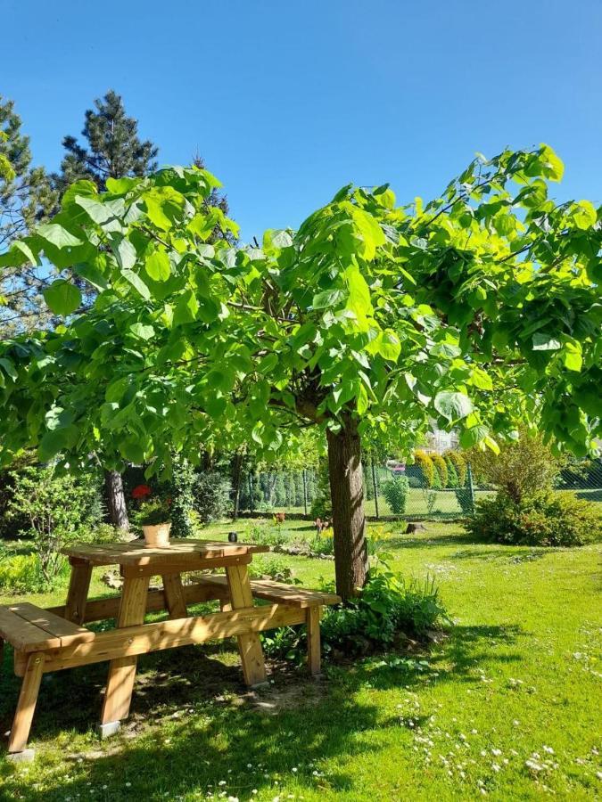 Agroturystyka Stokrotka Rymanow-Zdroj Exterior foto